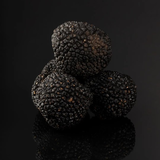 Summer Truffle Tuber aestivum Grade I | Boissieux