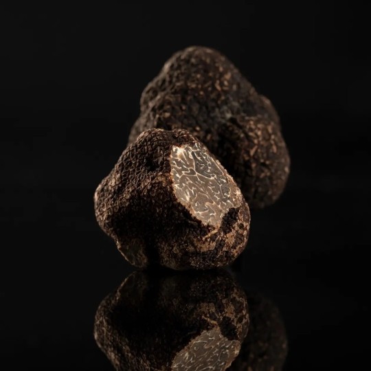 Black Truffle Tuber melanosporum Grade II | Boissieux