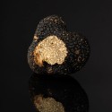 Summer Truffle Tuber aestivum Grade II | Boissieux