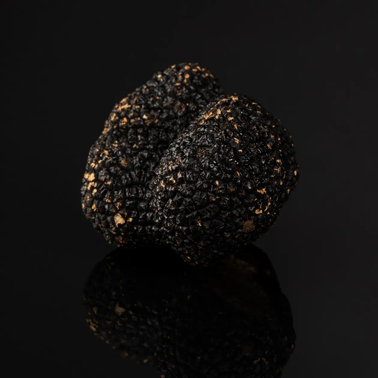 Summer Truffle Tuber aestivum Grade II | Boissieux