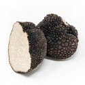 Truffe d’été / Tuber aestivum Cat 2  PRO