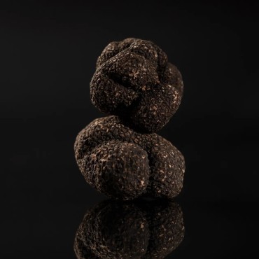 Truffe noire Mélanosporum Catégorie Extra | Boissieux
