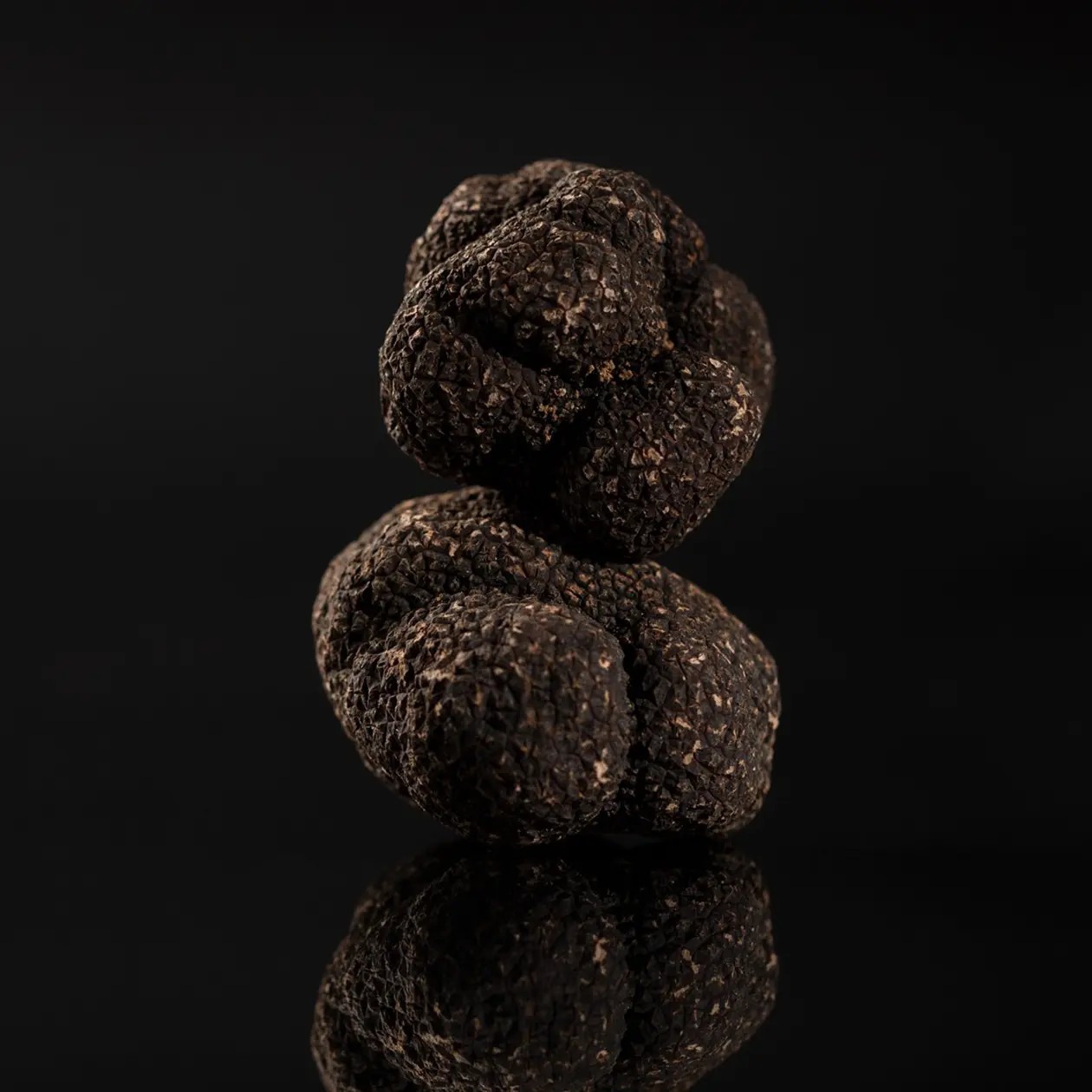 Black Truffle Tuber melanosporum Extra Grade | Boissieux