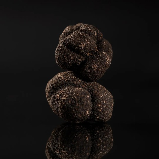 Black Truffle Tuber melanosporum Extra Grade | Boissieux