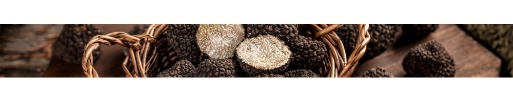 Truffes Fraîches | Truffe Noire Mélanosporum & Brumale – Vente en ligne