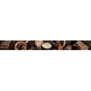 Truffes Fraîches