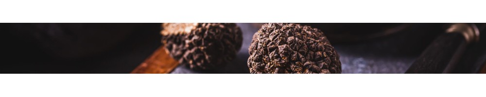 Truffes Surgelées | Truffe Noire Mélanosporum & Brumale – France